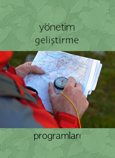 Takım Oyunu, Liderlik